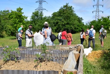 RANDONNÉE MILLE PATTES DANS LA VILLE ET LE PARC - 12 JUIN 2021